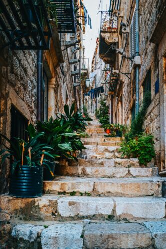 miha-rekar-uZdZwVxfuRs-unsplash miha-rekar-uZdZwVxfuRs-unsplash