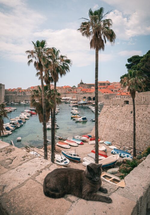 derek-sutton-_xJv_Gfxyag-unsplash derek-sutton-_xJv_Gfxyag-unsplash