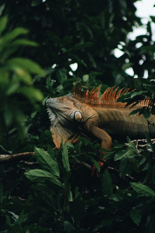 alli-elder-zX6X-6AUYhk-unsplash alli-elder-zX6X-6AUYhk-unsplash