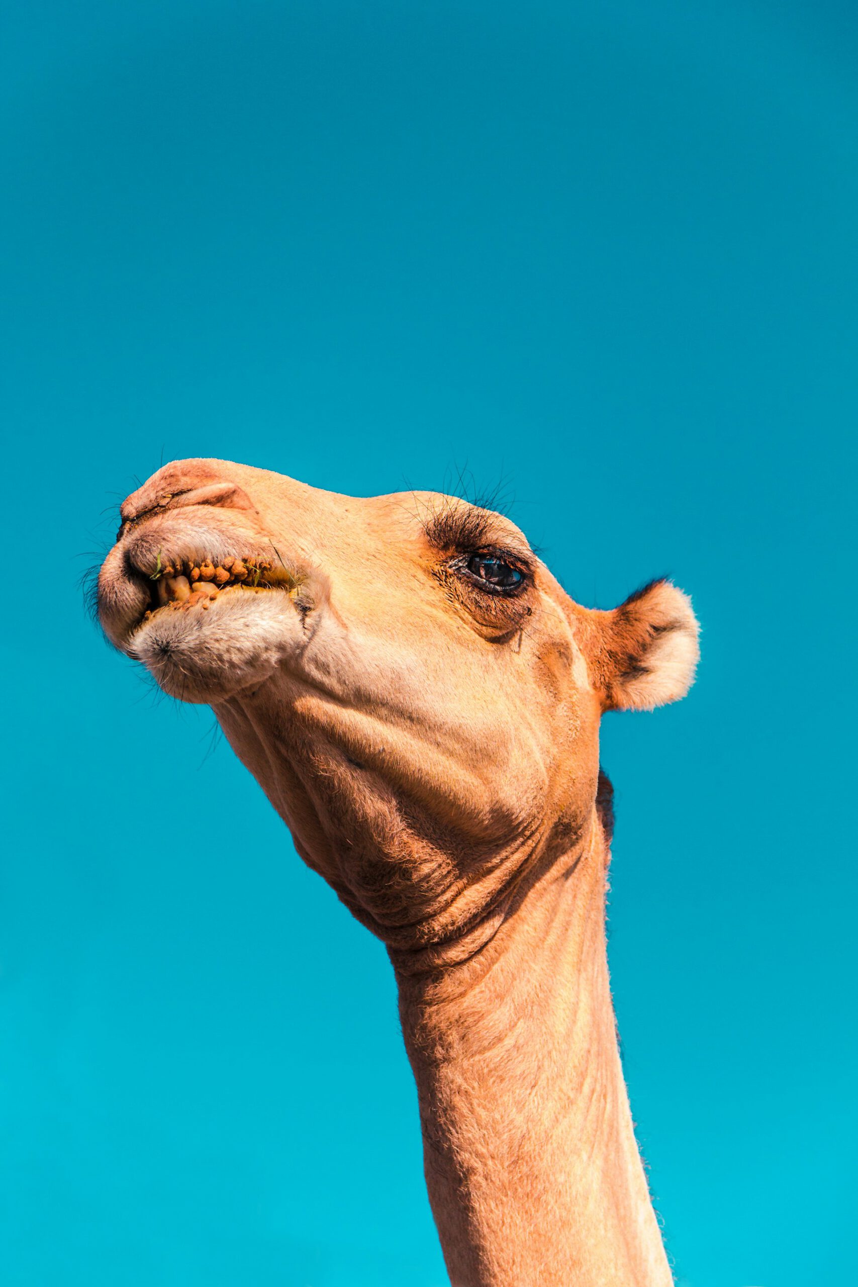 kristian-egelund-aOx95Z6hlK0-unsplash kristian-egelund-aOx95Z6hlK0-unsplash