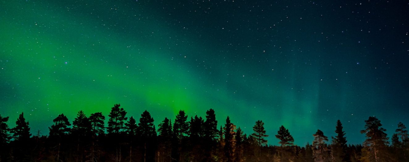 egor-vikhrev-N0A8uCu3Noo-unsplash egor-vikhrev-N0A8uCu3Noo-unsplash