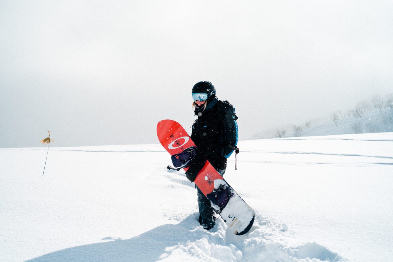 hamish-duncan-XO6FSH3H5CE-unsplash