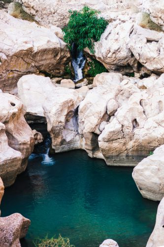 silas-baisch-KZCnvR-vdqU-unsplash silas-baisch-KZCnvR-vdqU-unsplash