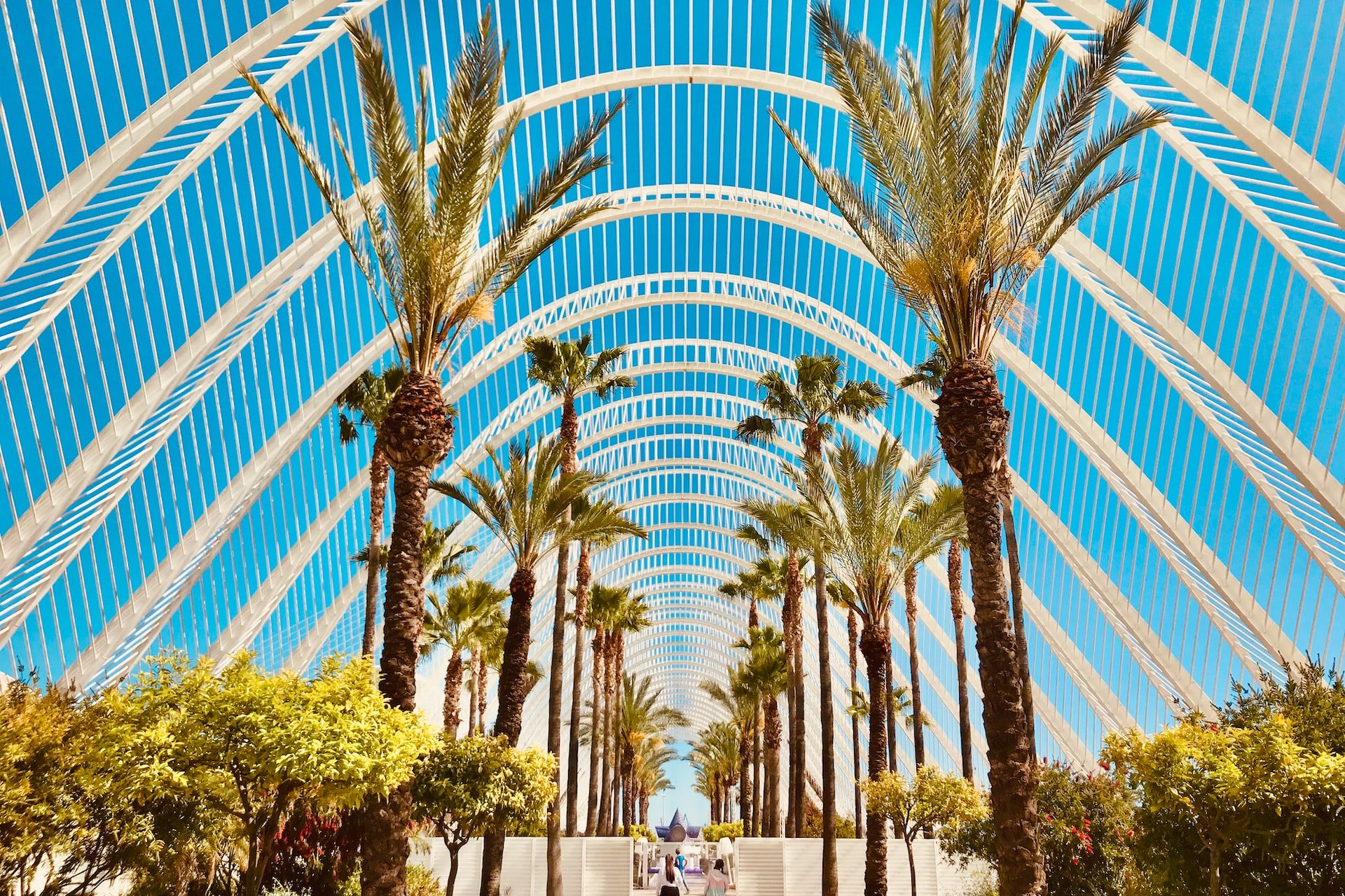 stephen-g-UzvqiKhSuYE-unsplash
