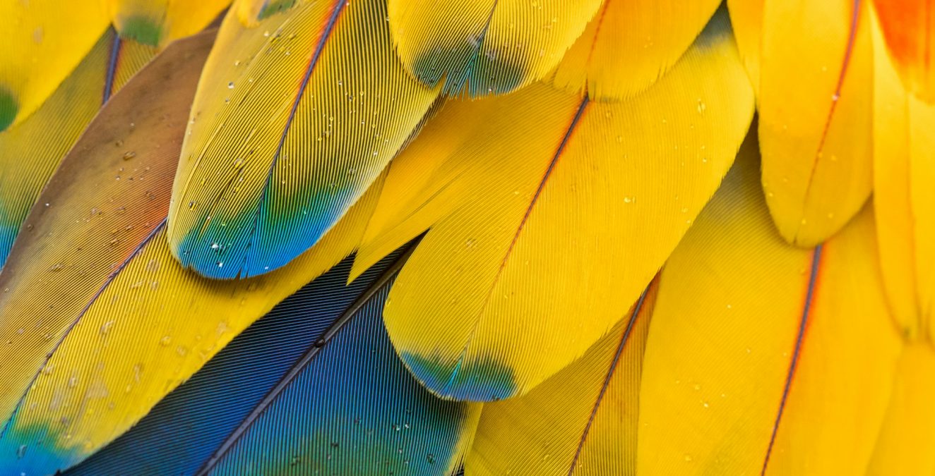 zdenek-machacek-YH4p4CYuvmw-unsplash zdenek-machacek-YH4p4CYuvmw-unsplash